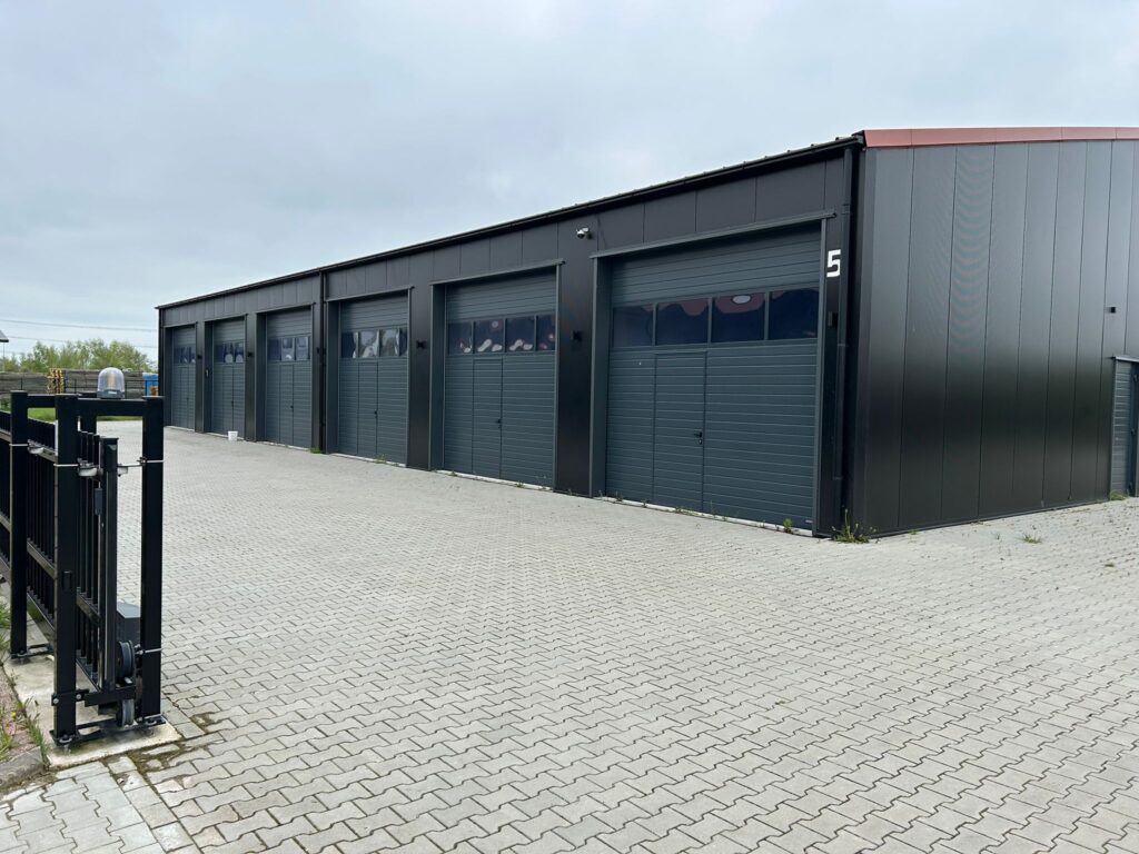 Hoofdafbeelding Buizerd 5