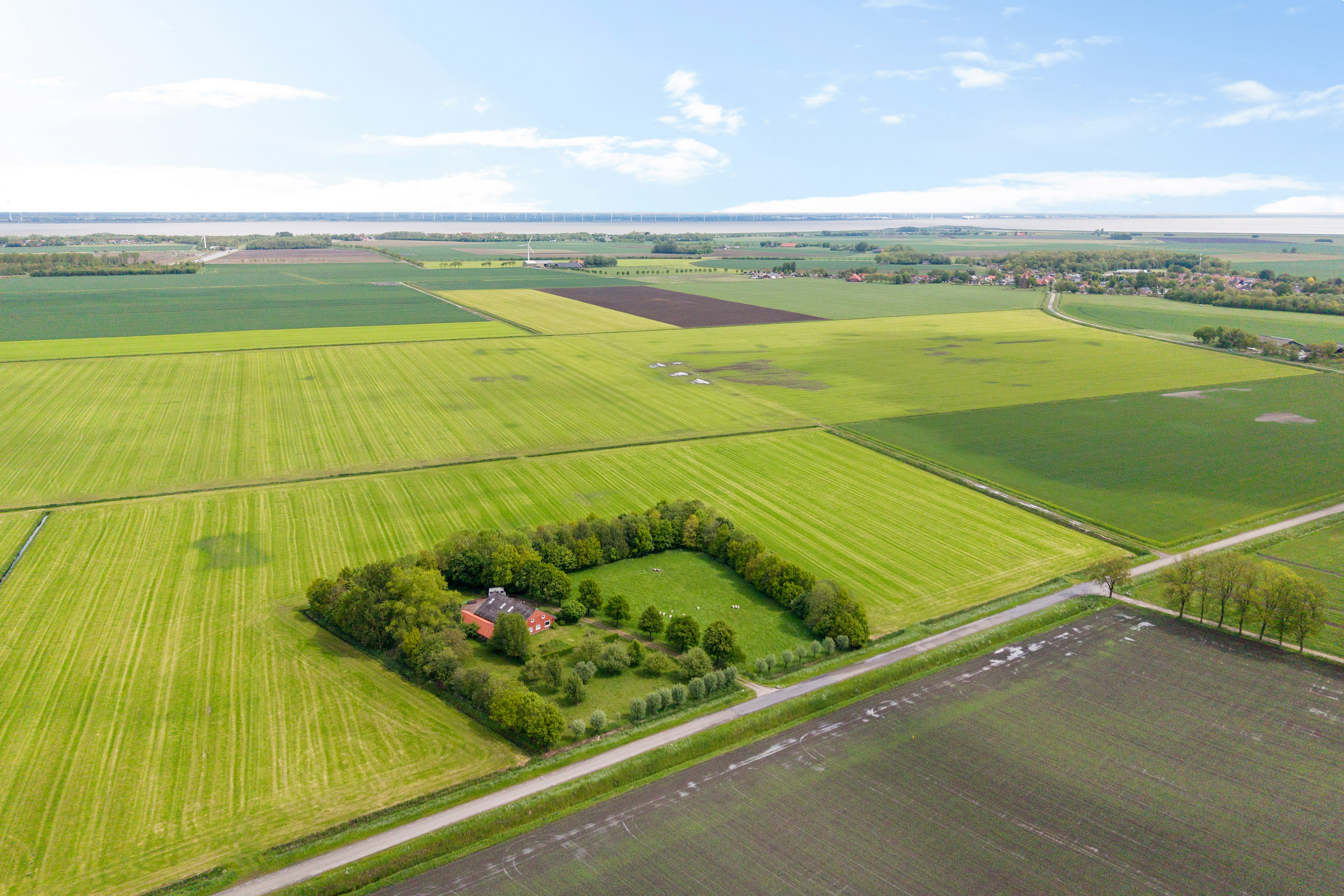 Hoofdafbeelding Heemweg 16