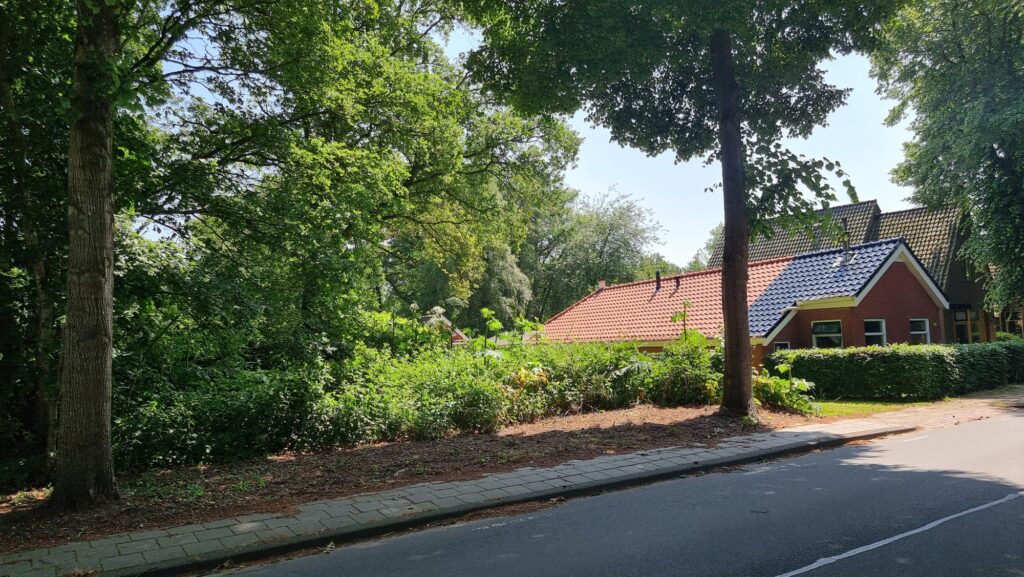 Hoofdafbeelding Uiterburen ong