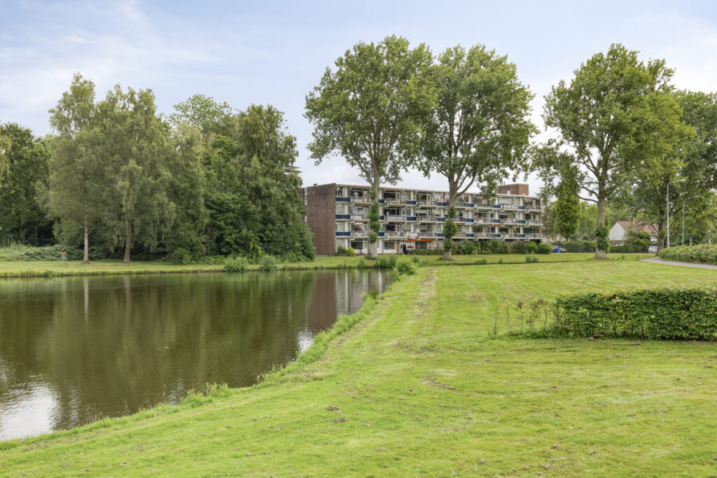 Hoofdafbeelding Stadhouderslaan 52