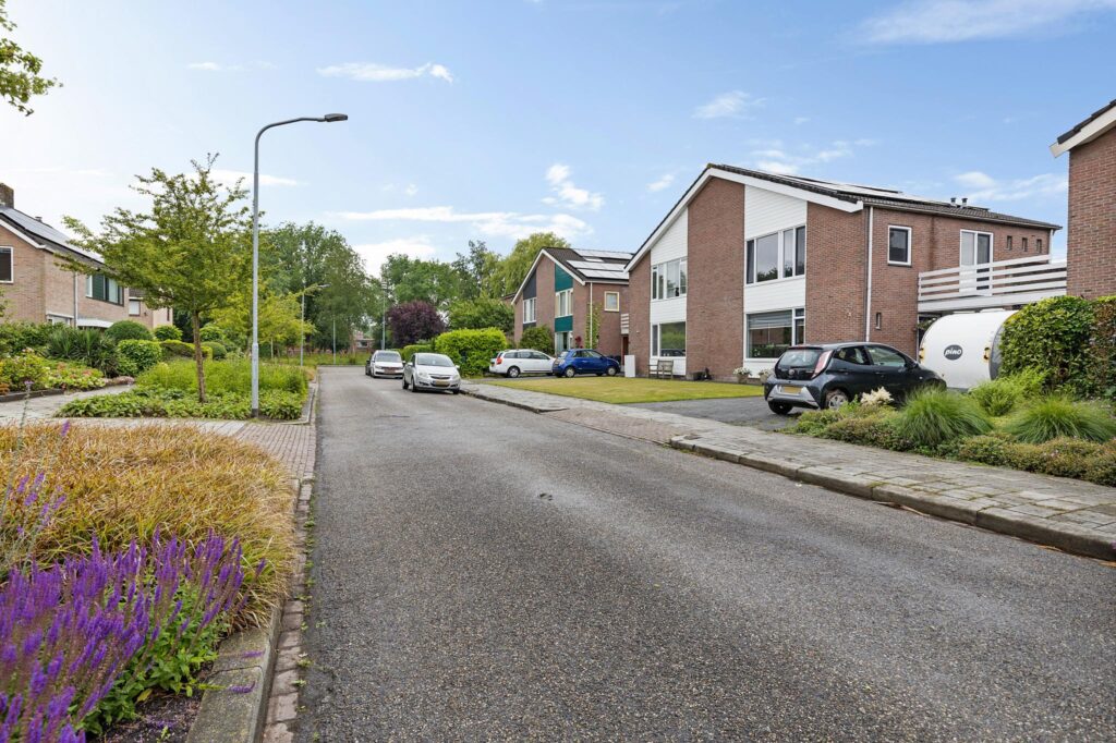 Hoofdafbeelding Trasraamsteen 8