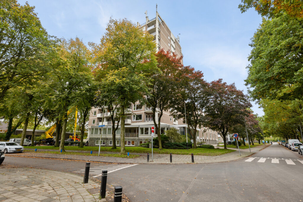 Hoofdafbeelding Helper Brink 61-156