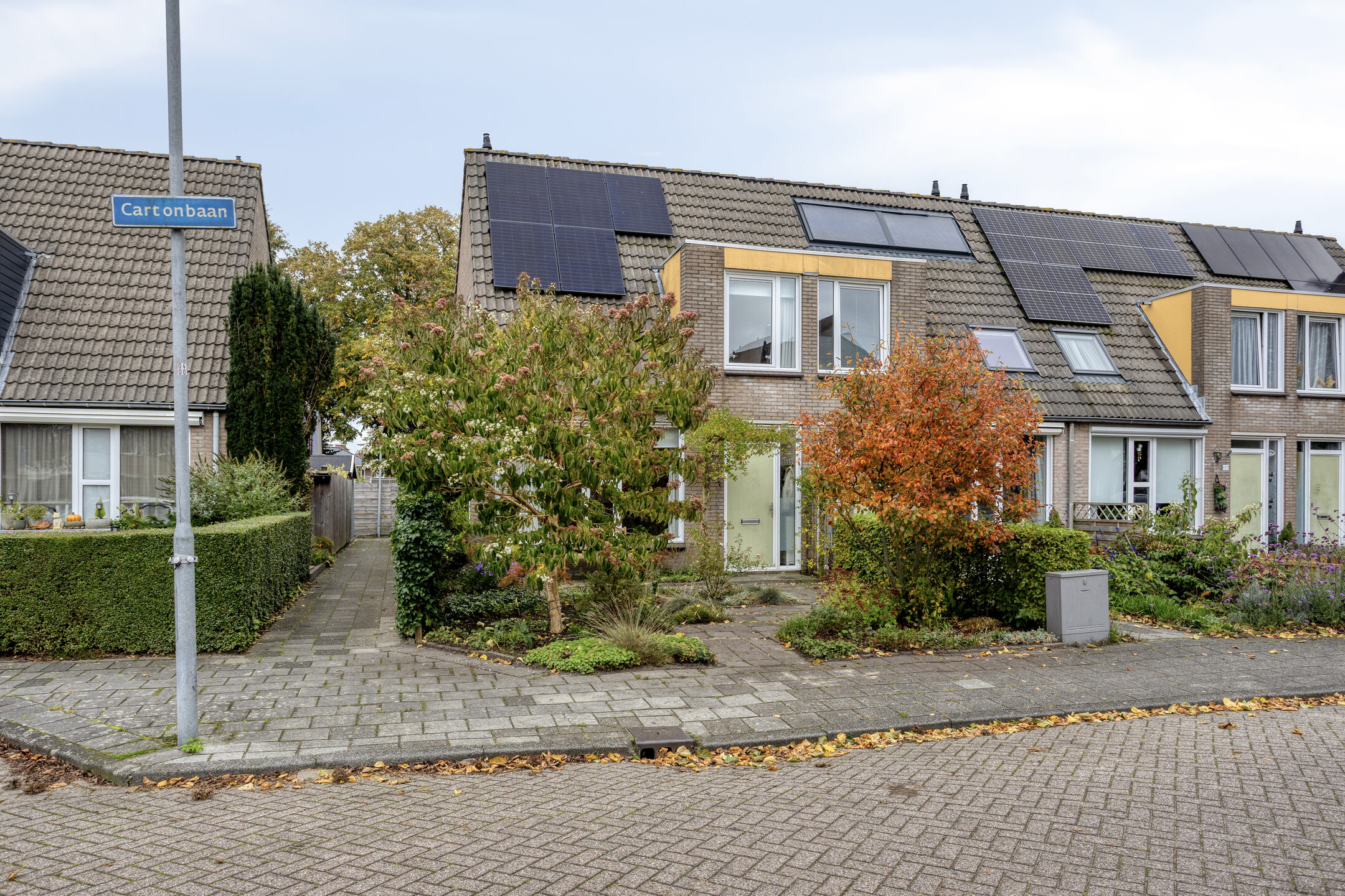 Hoofdafbeelding Cartonbaan 17